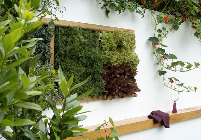 Die 5 Besten Vertikalen Gartensysteme Für Empfehlungen