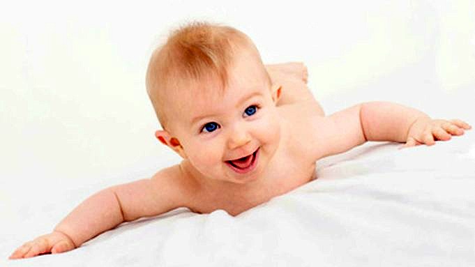 Top 7 Der Besten Babynahrungs-Rezensionen - Bio-Vollwertsorten